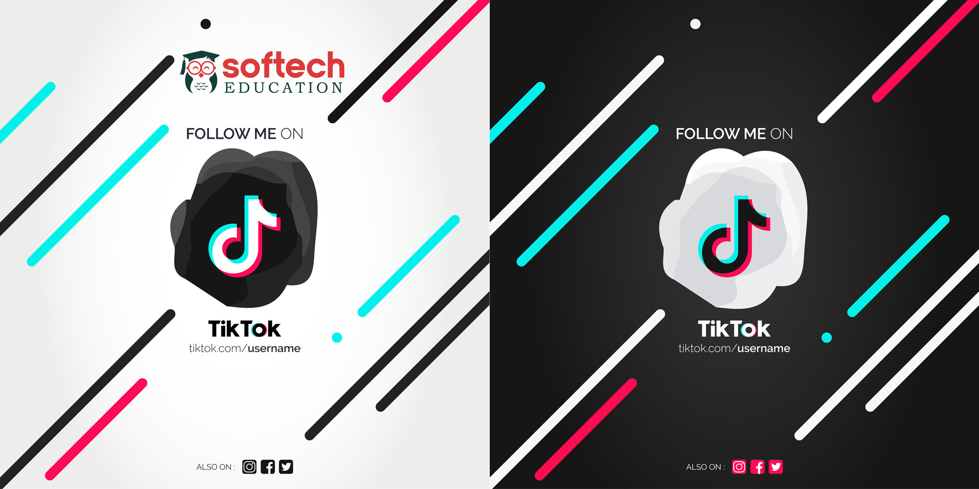 best offline TikTok in digital marketing courses training institute with certification at affordable fees and top placement to learn online classes after 12th Softech Education